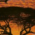Φωτοταπετσαρία Τοίχου Komar 4-501 African Sunset (1.94 x2.70 m)