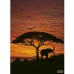 Φωτοταπετσαρία Τοίχου Komar 4-501 African Sunset (1.94 x2.70 m)