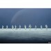 Φωτοταπετσαρία Τοίχου Komar 8-444 Star Wars Scarif Beach (3.68 x2.54 m)