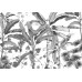 Φωτοταπετσαρία Digital wallpaper "Croissances Monochrome" 400x280 Komar INK COLLECTION