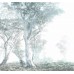 Φωτοταπετσαρία Digital wallpaper "Magic Trees" 300x280 Komar 